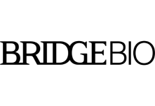 BRIDGEBIO 2027 logo